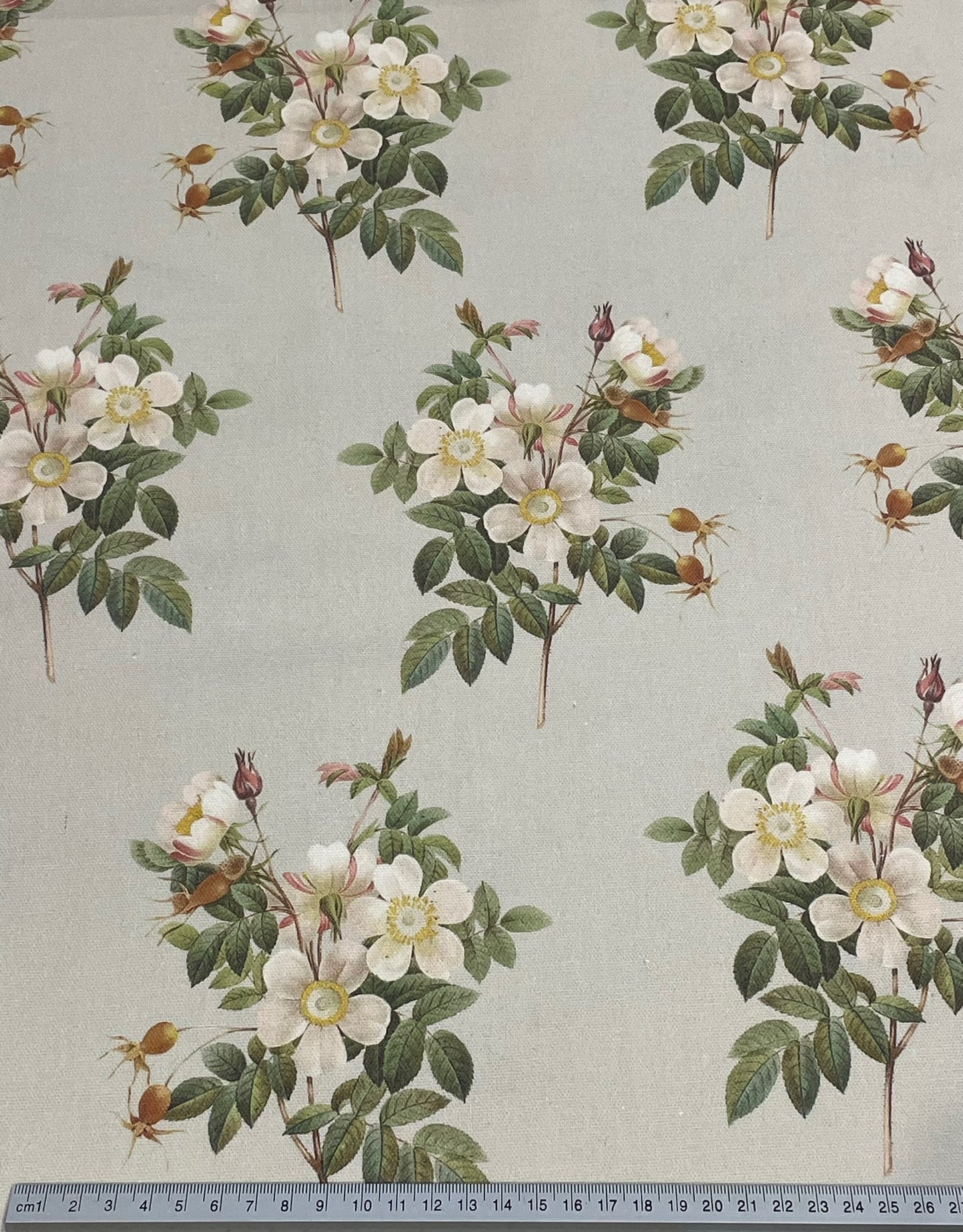 Dog Rose/Antique