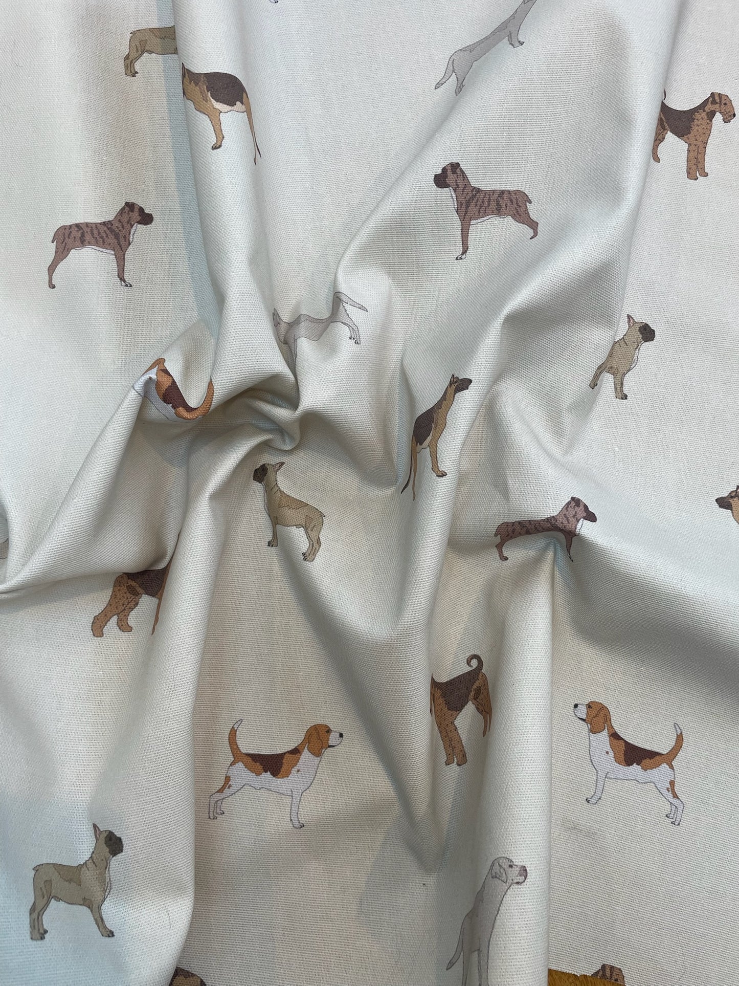 Dog Park / Beige