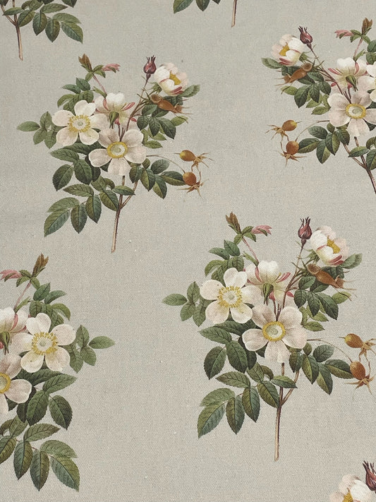 Dog Rose/Antique