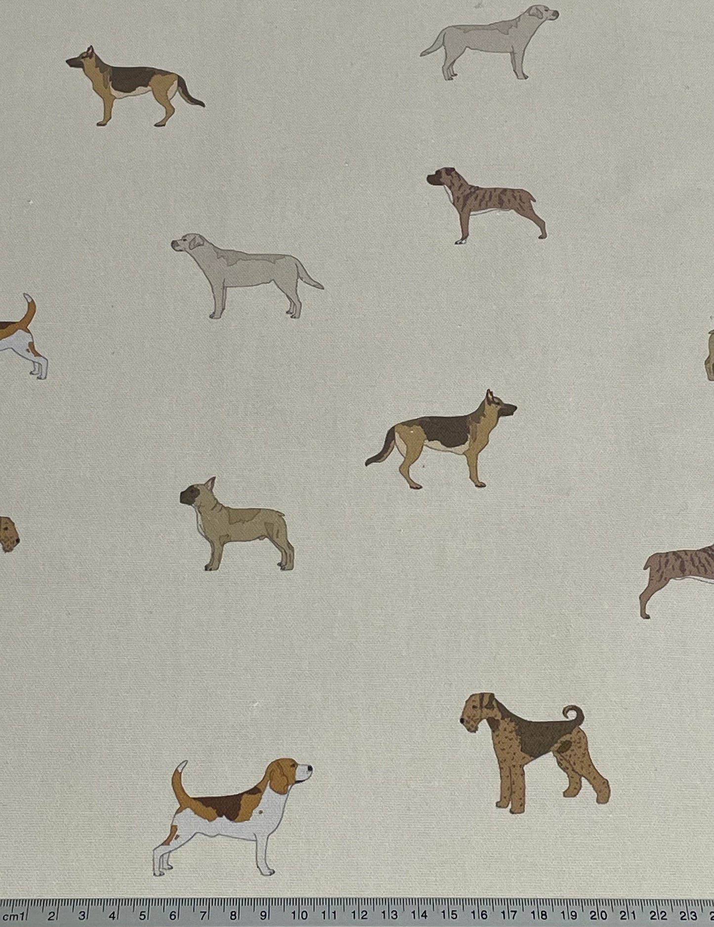 Dog Park / Beige