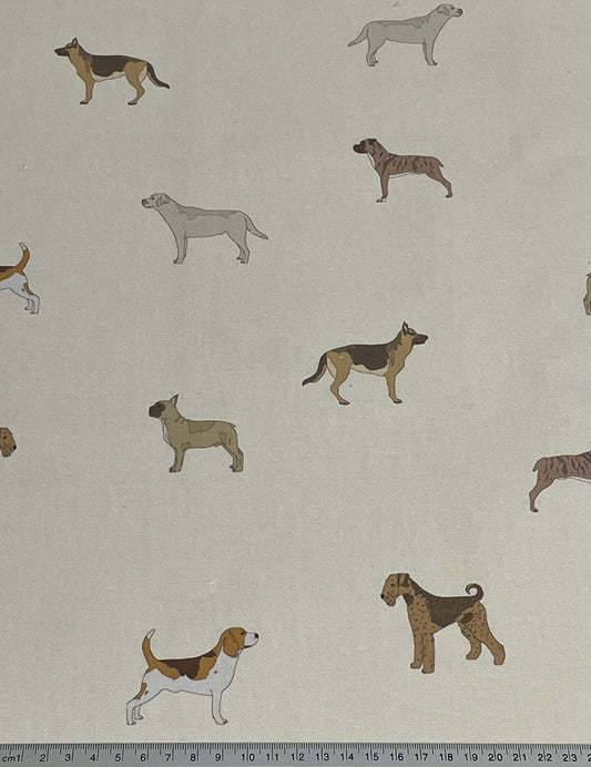 Dog Park / Beige