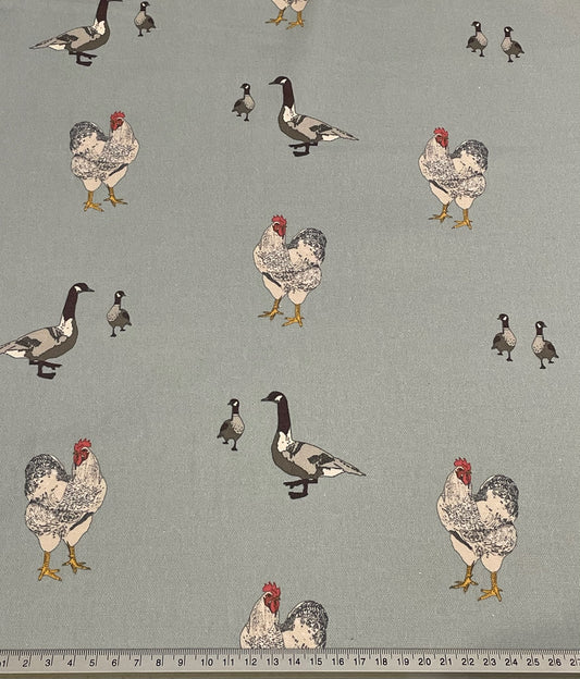 Farm Birds / Duck Egg