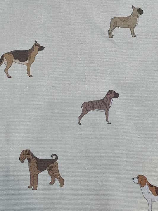Dog Park / Beige