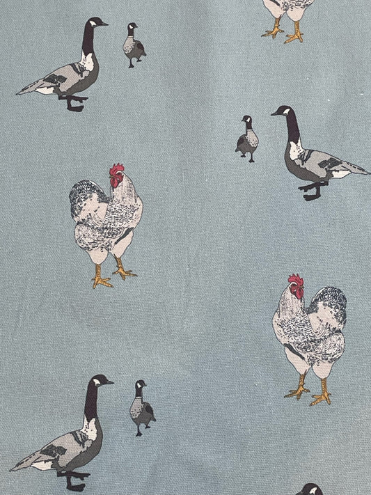 Farm Birds / Duck Egg