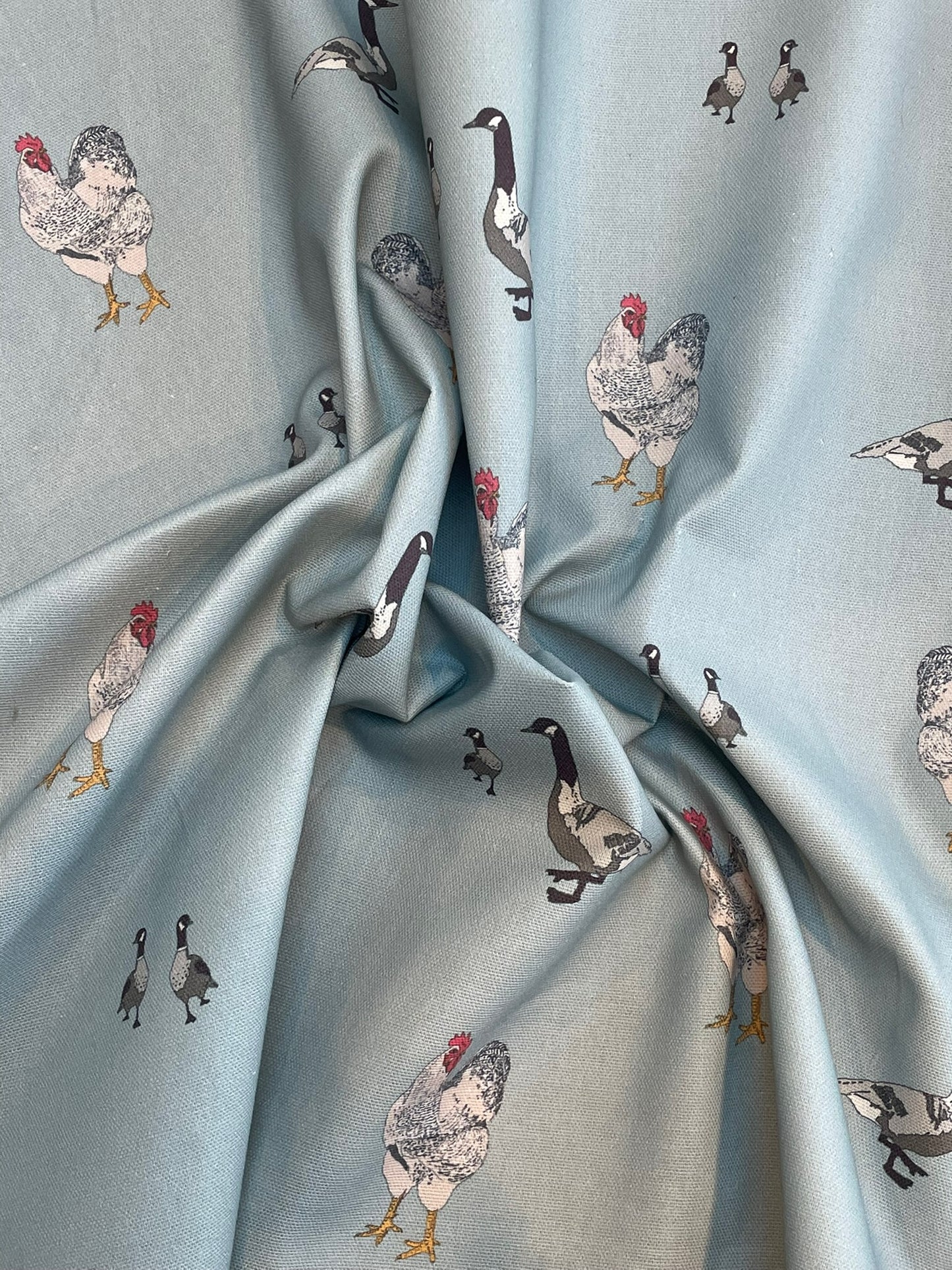Farm Birds / Duck Egg