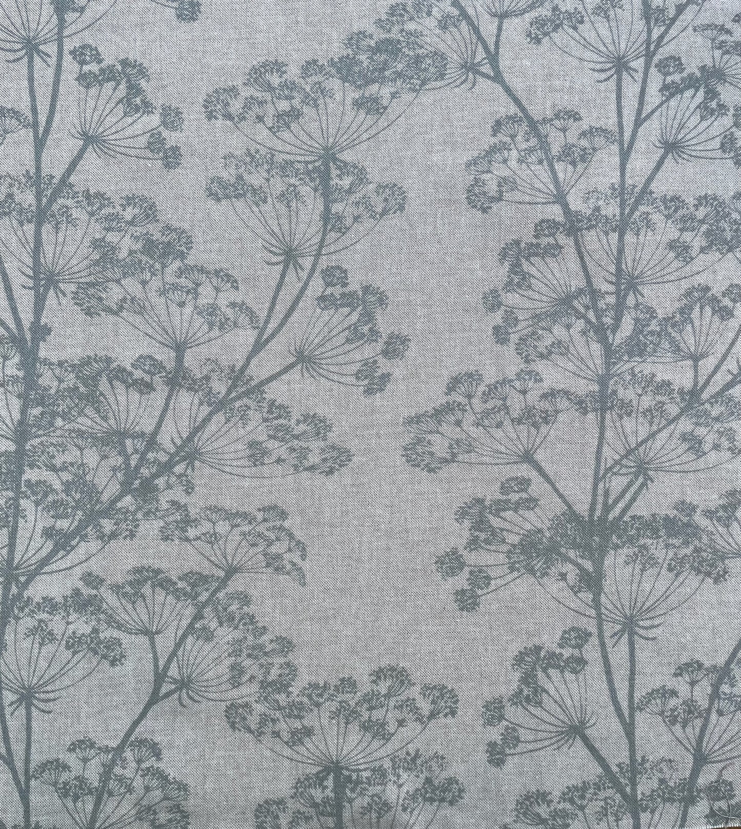 Cow Parsley / Duck Egg
